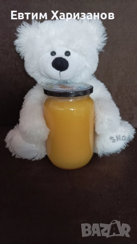 100% Пчелен мед от собствен пчелин, снимка 2 - Пчелни продукти - 52638726