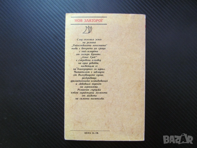 Агнес Грей Ан Бронте роман Нов Златорог драматични изживявания любовен трепет най малката сестра пис, снимка 3 - Художествена литература - 53559856