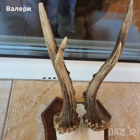 Сръндак Документиран, снимка 5 - Колекции - 50072932