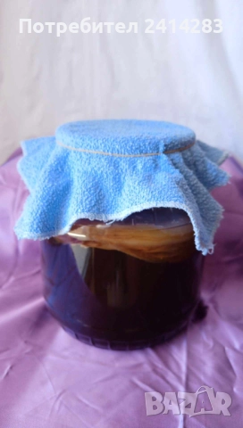 Тибетска чаена гъба Комбуча + стартер течност за напитка в стъклен буркан 1750 мл.