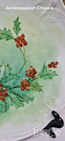 Чиния/поднос Hutschenreuther Ръчно рисуван , снимка 3 - Декорация за дома - 51330927