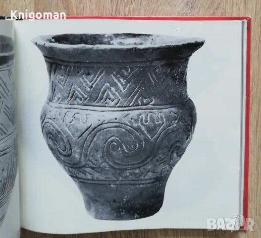 Градешница, Богдан Николов, снимка 3 - Специализирана литература - 49766252