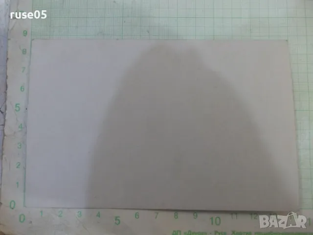 Снимка стара на група младежи седнали на брега край реката, снимка 2 - Колекции - 47910581