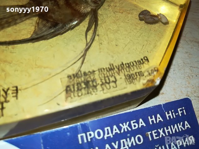 риба кехлибар-внос германия 0807210835, снимка 9 - Антикварни и старинни предмети - 33457583
