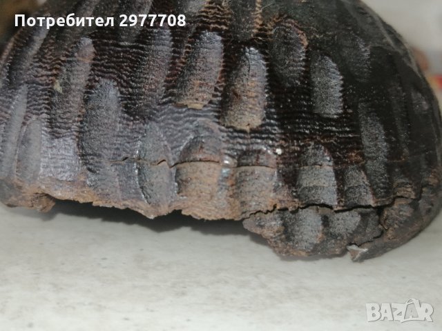 Африканска дървена маска , снимка 3 - Антикварни и старинни предмети - 32910645