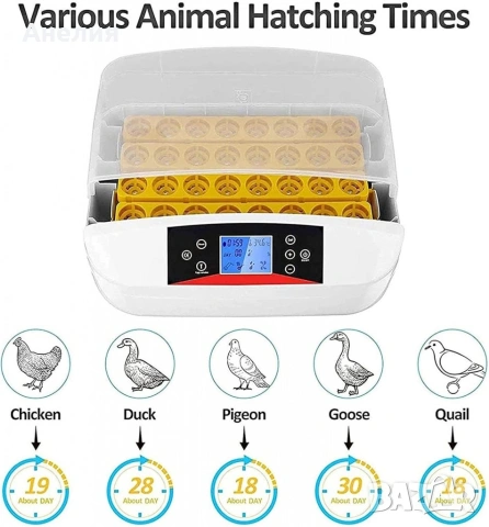 Инкубатор за яйца – 42 яйца с LED дисплей и автоматичен контрол, снимка 3 - Други стоки за дома - 53354650