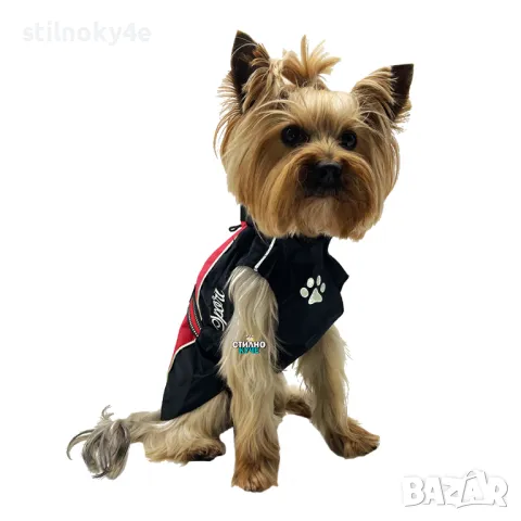 Дъждобран за куче Непромокаема дреха за куче Дъждобрани за кучета Кучешки дъждобран, снимка 7 - За кучета - 49095169