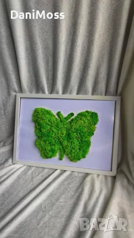 Уникален и оригинален подарък за СВАТБА, КРЪЩЕНЕ, ЗАВЪРШВАНЕ със скандинавски мъх, снимка 14 - Картини - 47298935