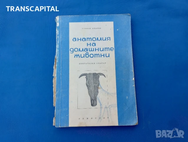 Анатомия на домашните животни 