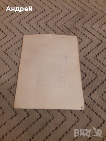 Стара картичка Ален Делон, снимка 2 - Други ценни предмети - 27897607