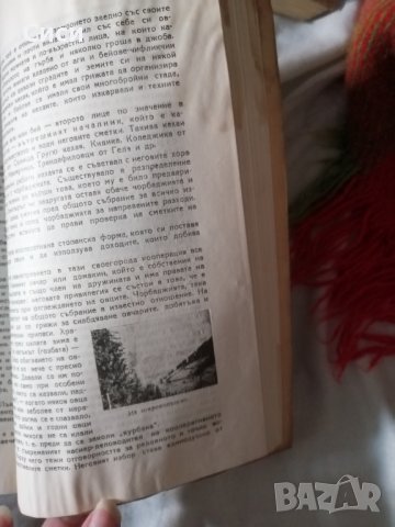 Широка лъка просветно огнище в Родопите 1947 год, снимка 8 - Други - 38791873