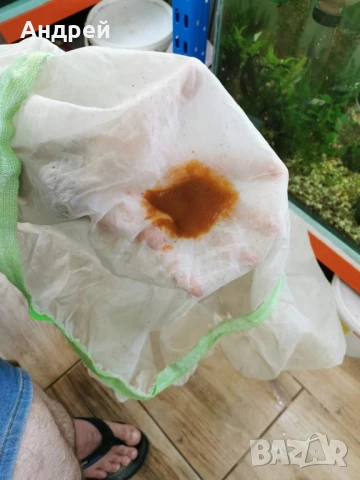 Артемия за люпене 