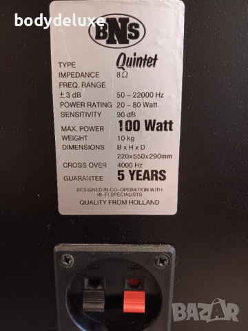 BNS Quintet двулентови тонколони, снимка 3 - Тонколони - 52017843