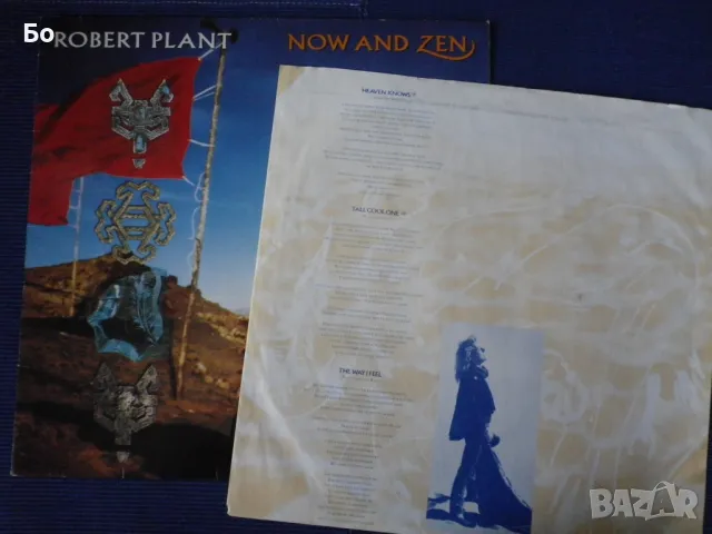 грамофонни плочи Robert Plant /ex Led Zeppelin/, снимка 3 - Грамофонни плочи - 47290567