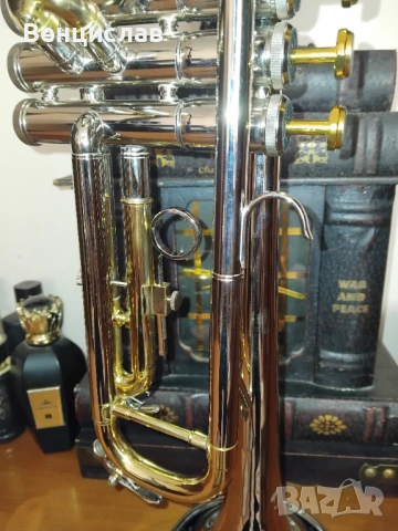 В тромпет , снимка 6 - Духови инструменти - 53438114