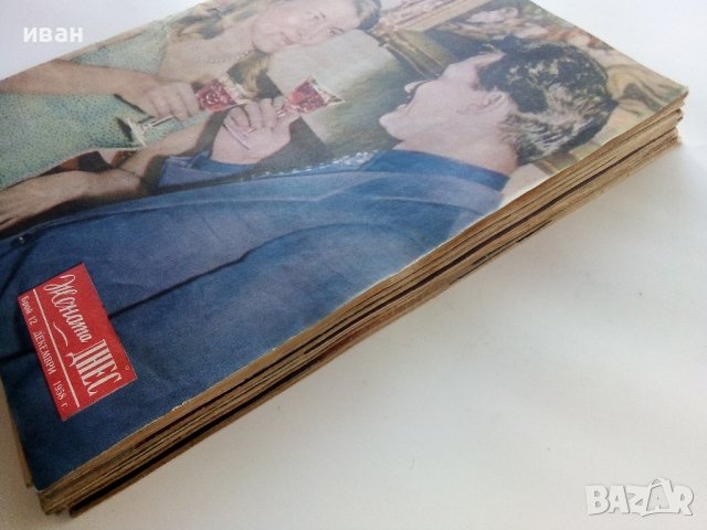 Списание "Жената Днес" - 1958г., снимка 15 - Списания и комикси - 38844411