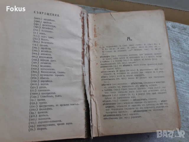 Царска книга Речник на чуждите думи 1926 г., снимка 3 - Антикварни и старинни предмети - 53329950