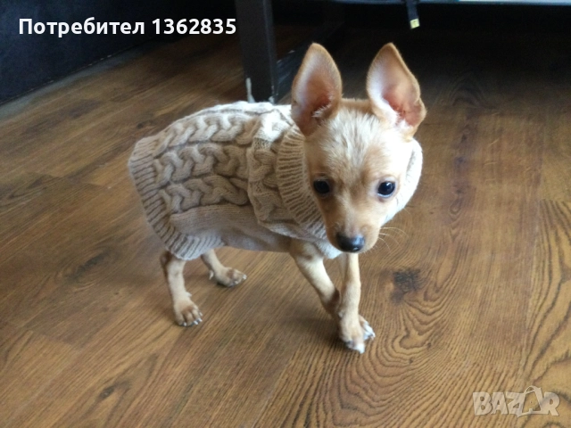 НОВ топъл бежов зимен луксозен пуловер за куче от Италия S и M размер, снимка 4 - За кучета - 51929468