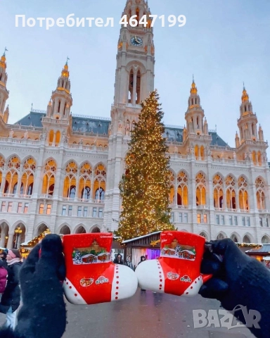 Коледни базари Виена-Будапеща-Братислава с автобус от Варна,Шумен,Велико Търново,София, снимка 3 - Автобусни екскурзии - 52364875