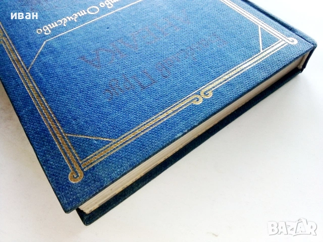 Анелка - Болеслав Прус - 1981г., снимка 5 - Художествена литература - 53412460