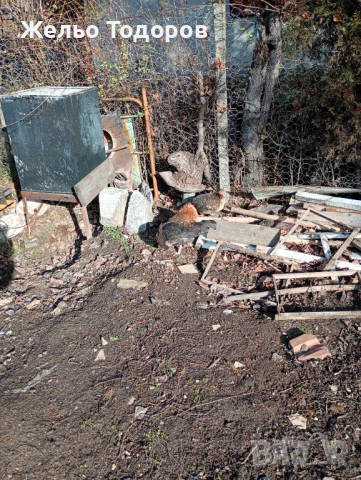 Японски кокошки , снимка 5 - Кокошки и пуйки - 53016087