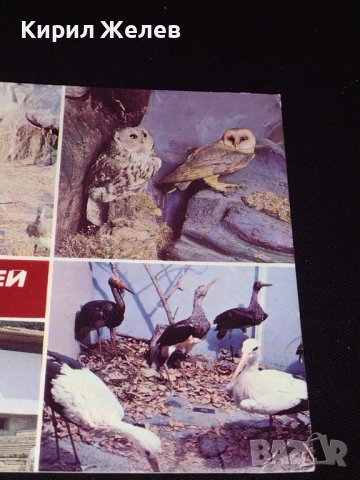 Две стари картички Природонаучен музей Котел, Национален парк музей Шипка 41656, снимка 3 - Колекции - 43099983