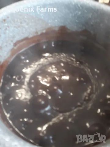 Боров прашец суров веган , снимка 7 - Хранителни добавки - 49841645