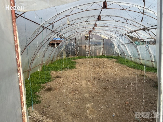 Дуловска оранжерия, снимка 4 - Оранжерии - 53296191