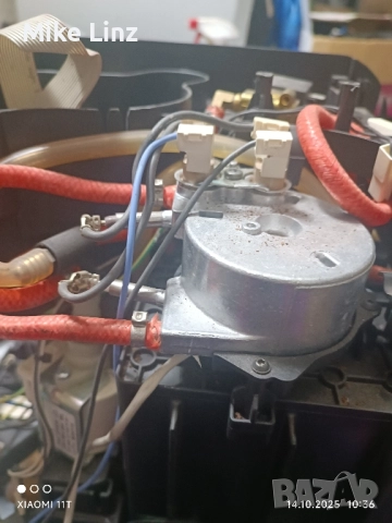 Саеко синтия капучино