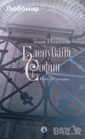 Бленувана София, снимка 1