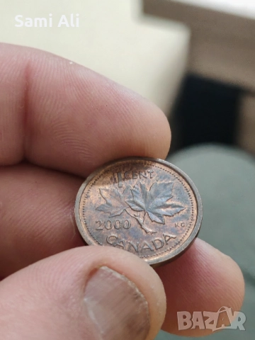 Продавам чакам цена , снимка 2 - Нумизматика и бонистика - 51859594