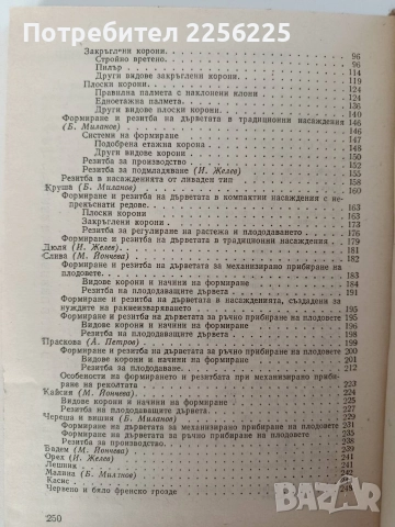 Резитба на овощните растения, снимка 8 - Специализирана литература - 52848996