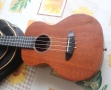 Укулеле Donner Ukulele Mahogany концертно, снимка 8
