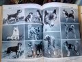 "Енциклопедия на кучето"-Германия, снимка 3