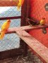 Папагали какарики , снимка 1