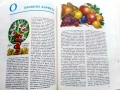 Енциклопедия на младия Природолюбител - В.Денков,К.Хаджииванова -  1992г., снимка 4
