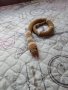 Плетена Змия Амигуруми, снимка 2