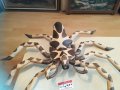 ОГРОМЕН ДЪРВЕН РАК С 8 КРАКА 90Х70СМ 1404211815, снимка 4