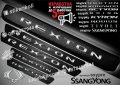 ПРАГОВЕ карбон SsangYong Rexon фолио стикери ssypre, снимка 1