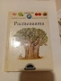 Larousse Моята първа енциклопедия. Растенията., снимка 1