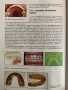 Ръководство по ортодонтия за студенти-проф.Вера Крумова, снимка 3