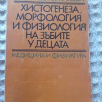 Хистогенеза, морфология и физиология на зъбите у децата, снимка 1 - Други - 38158566