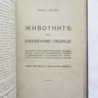 Растенията отъ биологично гледище / Животните отъ биологично гледище - Борис Митов 1924-1926 г., снимка 4 - Други - 27810498