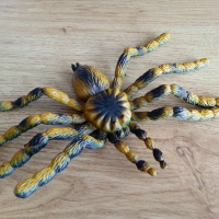 реалистична силиконова тарантула от Холандия, снимка 1 - Колекции - 44922719