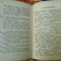 Ръководство по Словесностъта,1889г,стара книга , снимка 10 - Други - 37152735