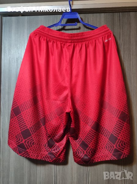 Мъжки шорти Nike , LeBron , размер L, XL, снимка 1