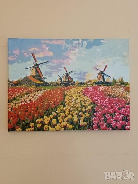 Картина Амстердамски мелници. , снимка 1