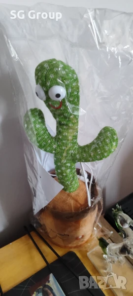 Пеещ и танцуващ кактус- катерица, снимка 1