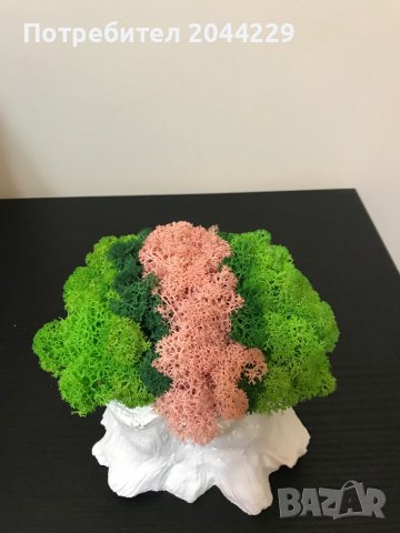 Кашпа "Дънер" със скандинавски мъх, снимка 2 - Декорация за дома - 42861684