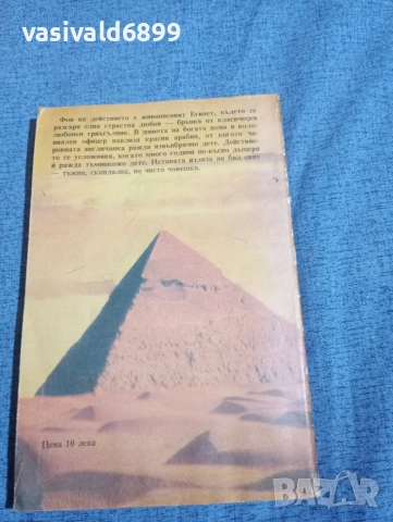 Анна Виванти - Аз съм виновна , снимка 3 - Художествена литература - 52758365